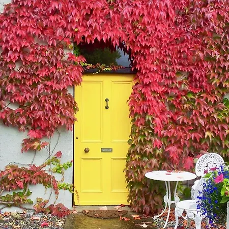 Bed & Breakfast Riverside House *