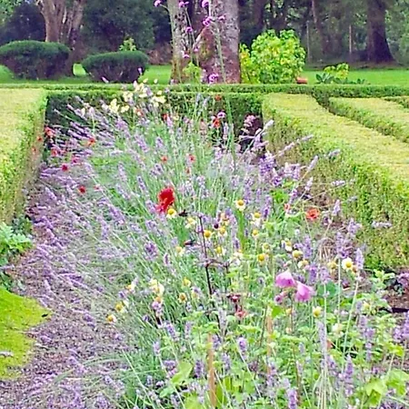 Bed & Breakfast Riverside House