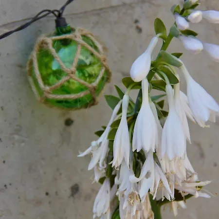 Riverside House Newport (Mayo)