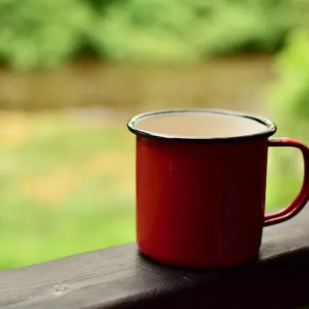 Bed & Breakfast Riverside House