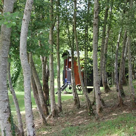 Bed & Breakfast Riverside House 3*