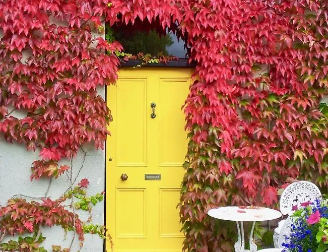 Bed & Breakfast Riverside House 3*