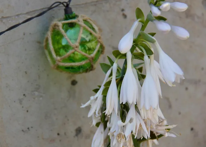 Riverside House Newport (Mayo)